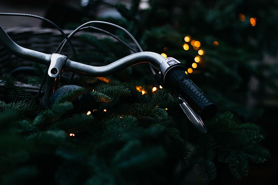 bicycle, bike, dark, night, bokeh, sport, hobby, exercise, plant HD wallpaper