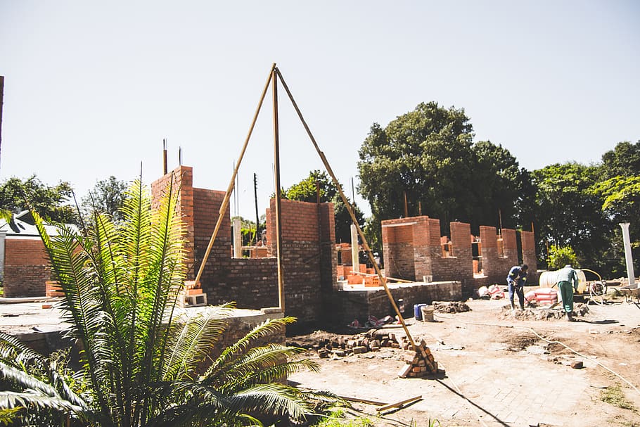building, construction, workers, tree, plant, architecture HD wallpaper