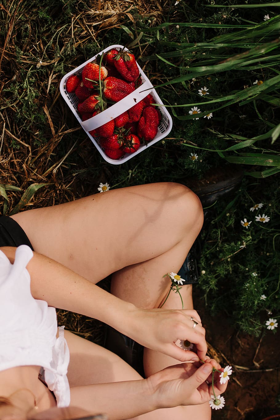 flay lay photography of woman sitting on ground beside basket of strawberries HD wallpaper