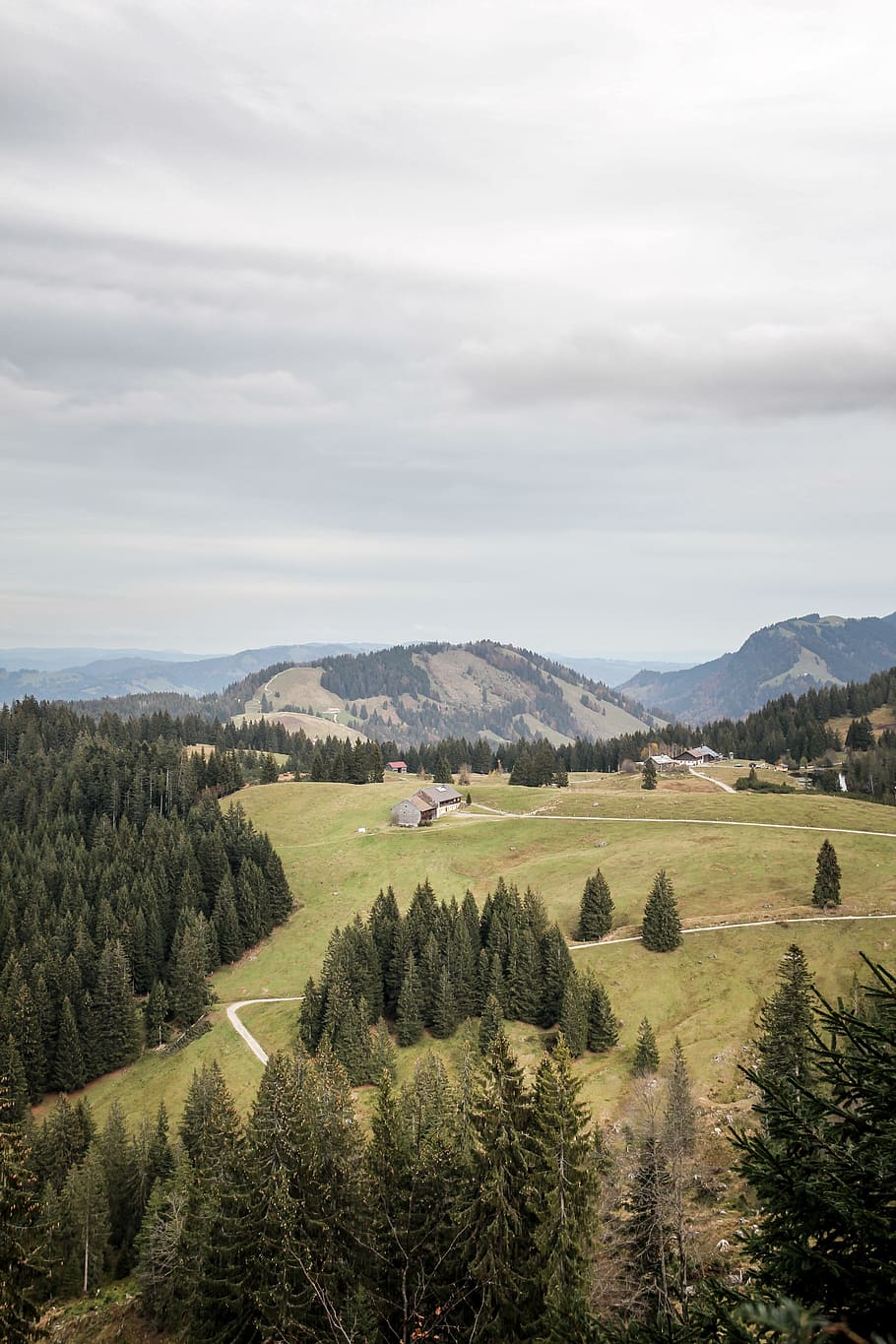 aerial photography of grassland, tree, nature, hike, sky, forrest HD wallpaper