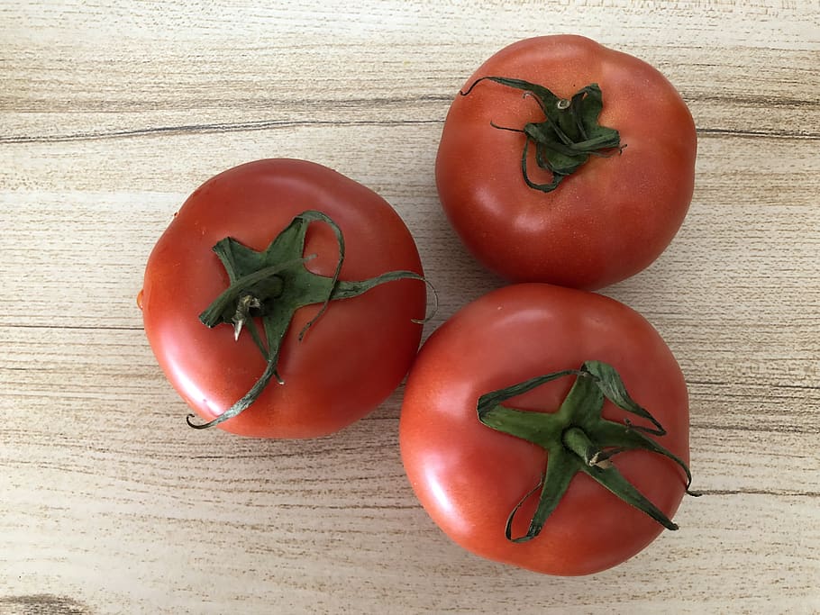 tomato, red, vegetable, food, food and drink, healthy eating HD wallpaper