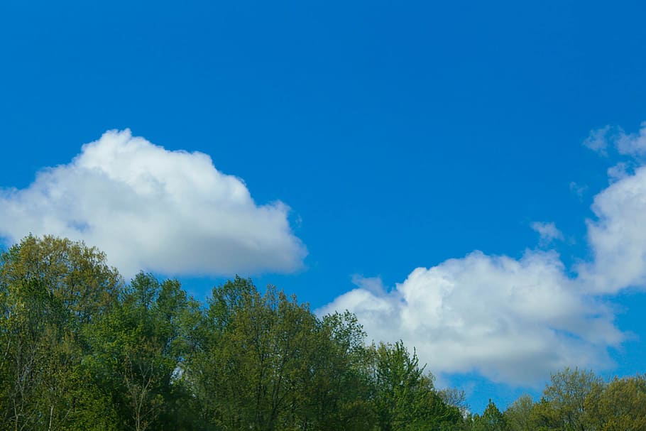 trees, sky, blue, nature, daytime, midwest, clouds, cloud - sky HD wallpaper