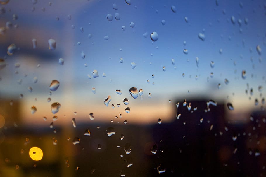 drop, wet, window, glass - material, water, rain, transparent HD wallpaper