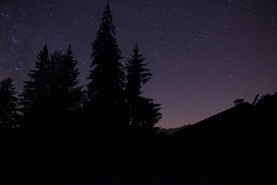 tree, silhouette, mountain, light, sky, night, star, dawn, atmosphere HD wallpaper