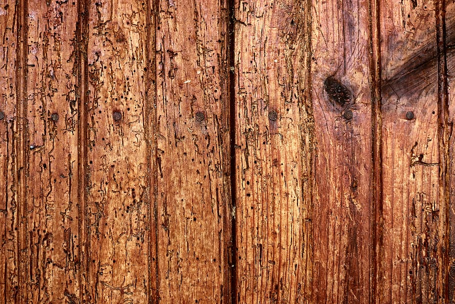 mexico, morelia, textured, wood - material, backgrounds, full frame HD wallpaper