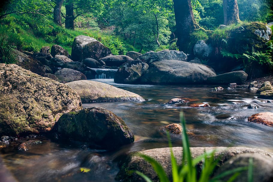 ireland, glendalough, river, water, rock, tree, rock - object, HD wallpaper