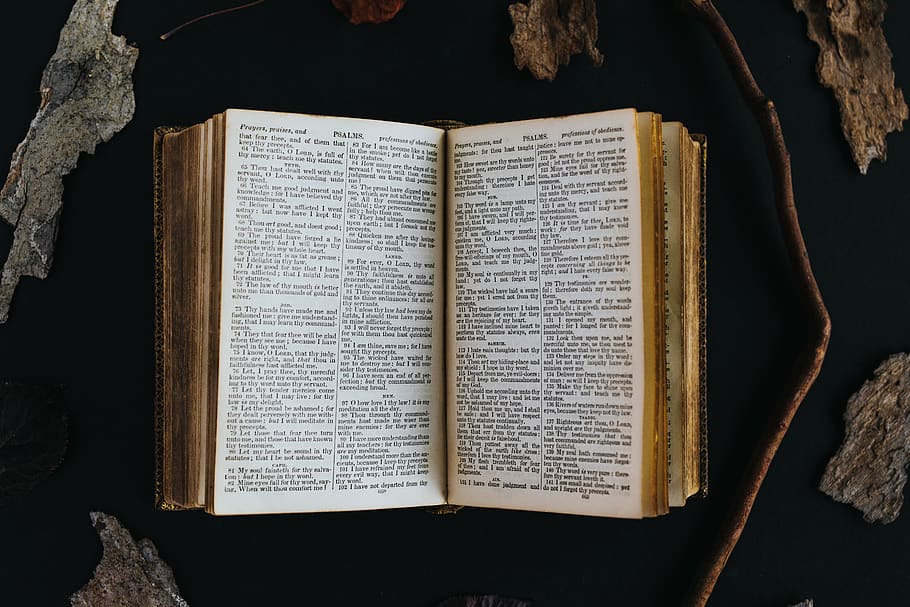 opened book showing text, publication, page, religion, indoors HD wallpaper