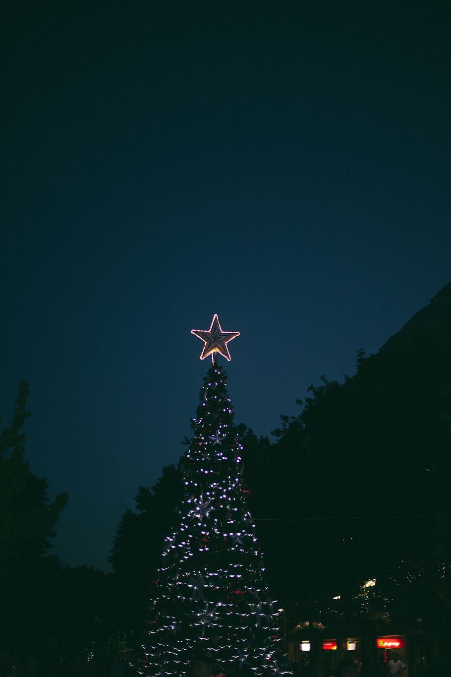 christmas, tree, lights, festivity, star, christmas tree, decoration HD wallpaper