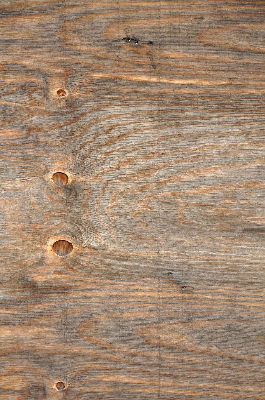 tree, background, texture, invoice, nature, wood, trees, old HD wallpaper