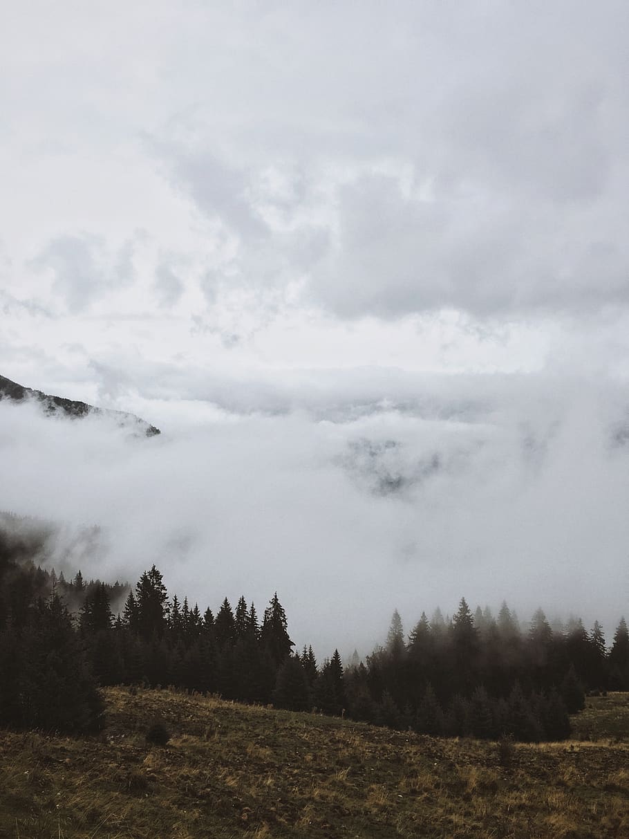 trees, forest, fog, mountains, sky, autumn, hills, folk, landscape HD wallpaper
