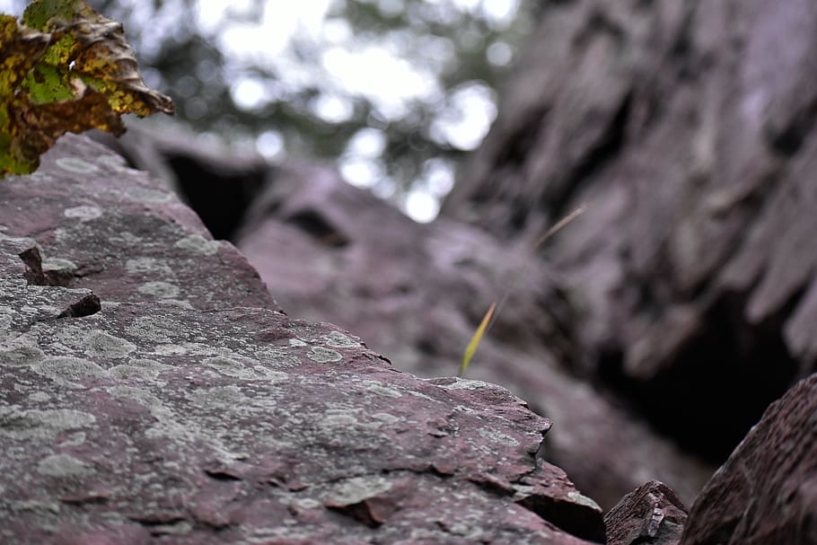 devils lake, rock, bokrh, texture, nature, close-up, selective focus HD wallpaper