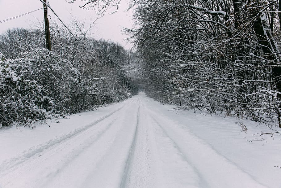 romania, oradea, winter, snow, landscape, trees, path, pathway HD wallpaper