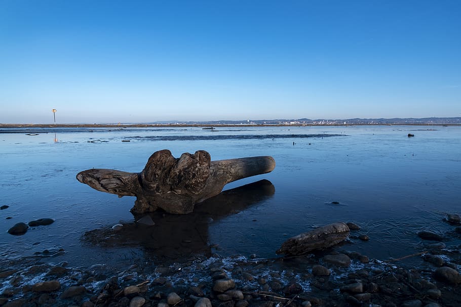 cold, winter, ice, lake, frost, wintry, landscape, frozen, nature HD wallpaper