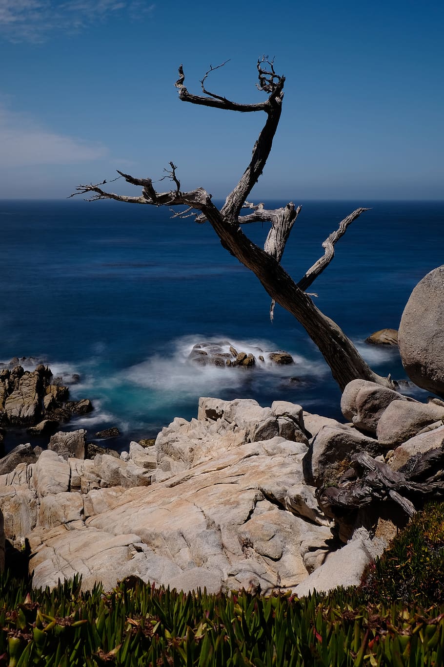 weer-wood tree on boulders, coast, rock, branch, water, wave HD wallpaper