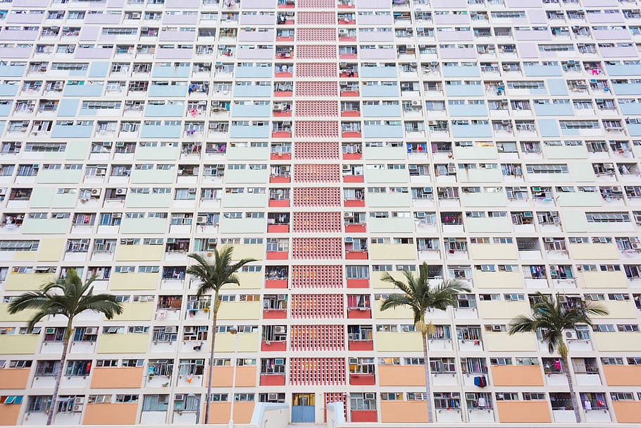 building, architecture, apartment, condo, city, urban, palm trees HD wallpaper