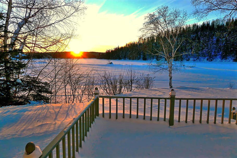 landscape, winter, nature, cold, sunset, sky, trees, fir, birch HD wallpaper