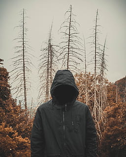 forest, dark, trees, old, mood, mystic, horror movie, fear HD wallpaper