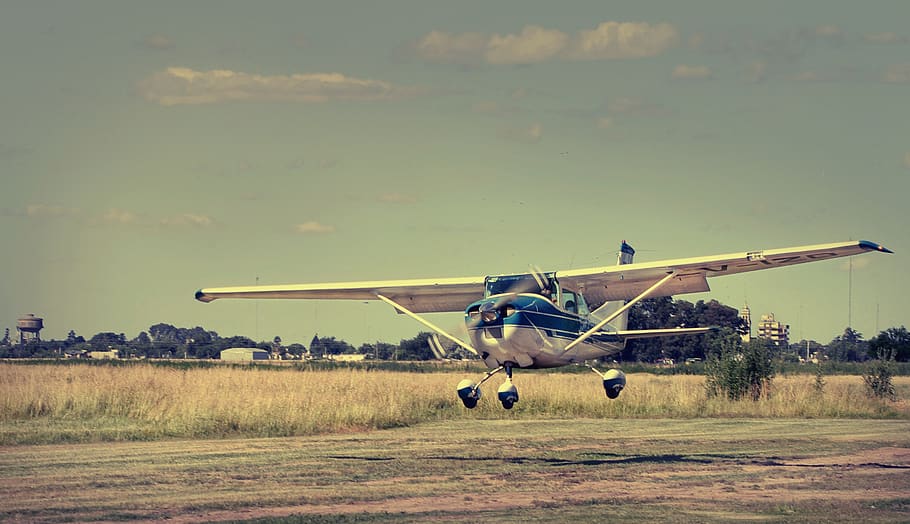 plane, field, nature, grass, prado, land, landscape, green HD wallpaper