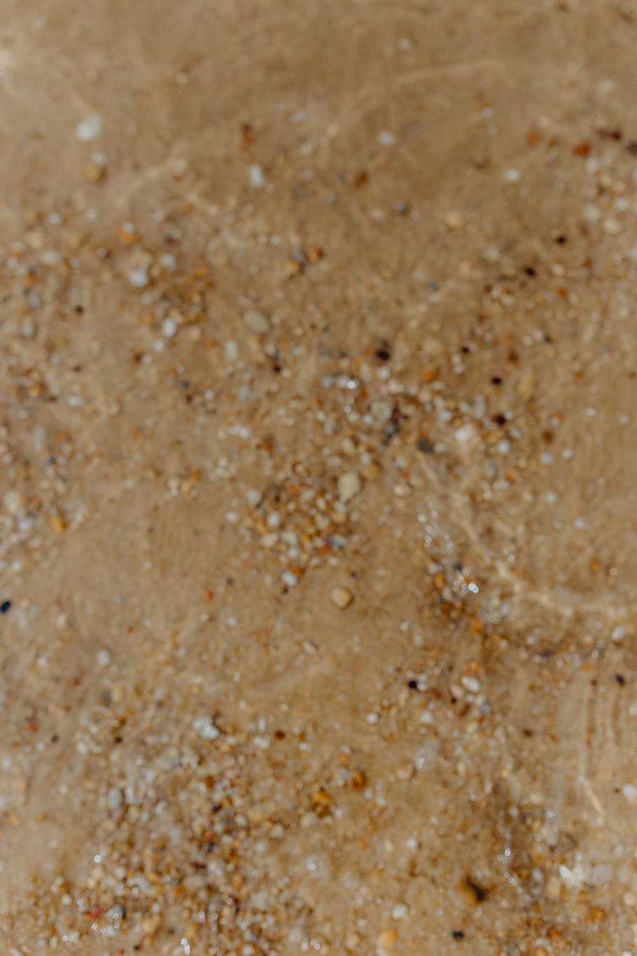 Sand beach background with sea shells & pebbles - many round small stones HD wallpaper