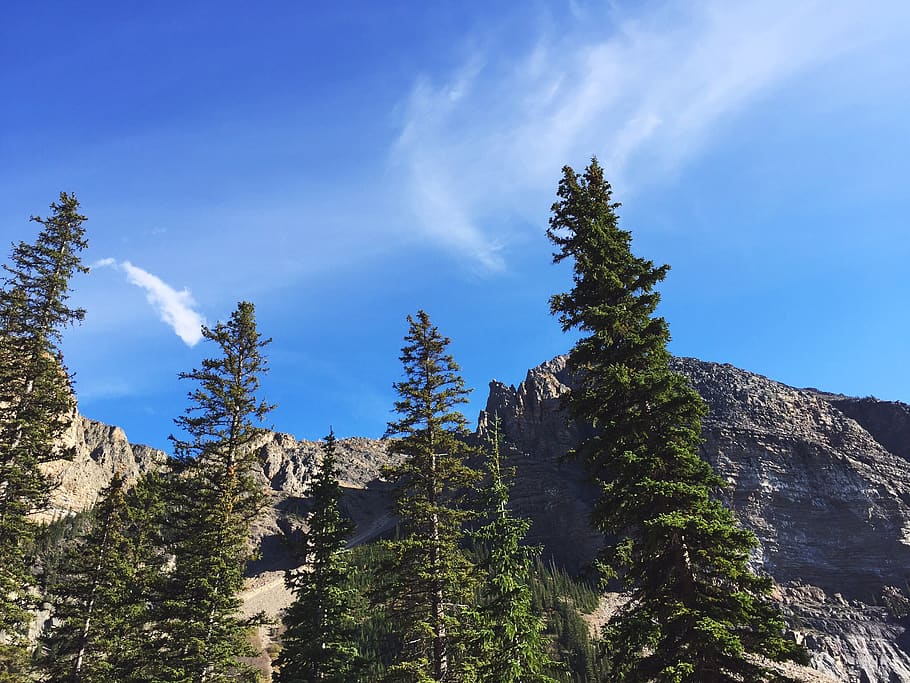green trees under blue cloudy sky during daytime, mountain, canada HD wallpaper