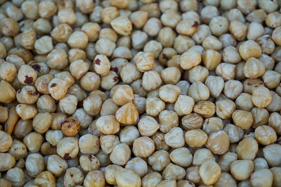 hazelnut, nuts, food, snack, nutrition, dried fruits and nuts HD wallpaper