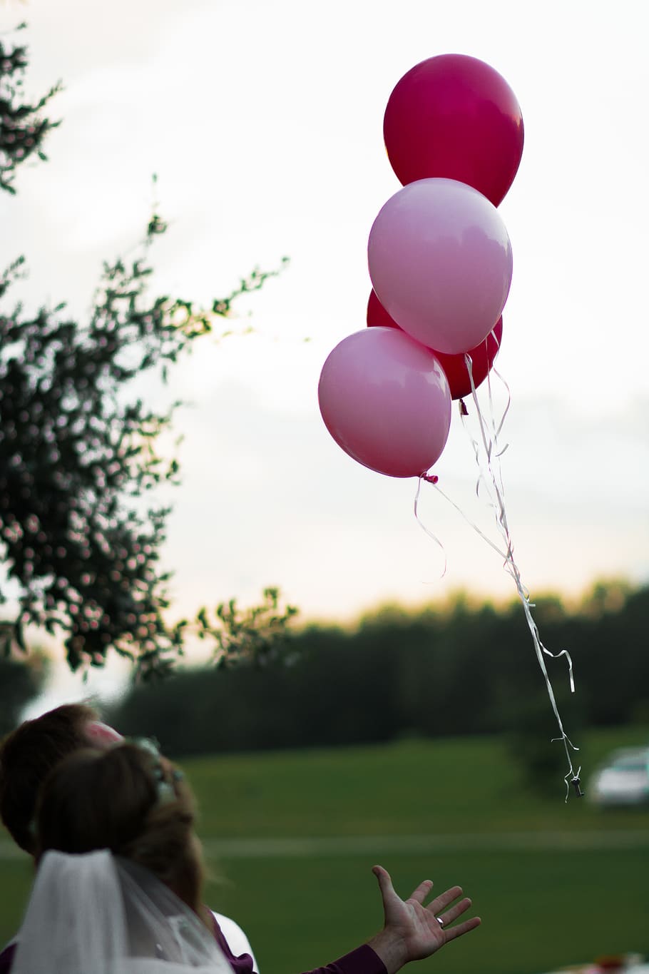 wedding, balloons, outside, floating, pink, evening, cermony HD wallpaper