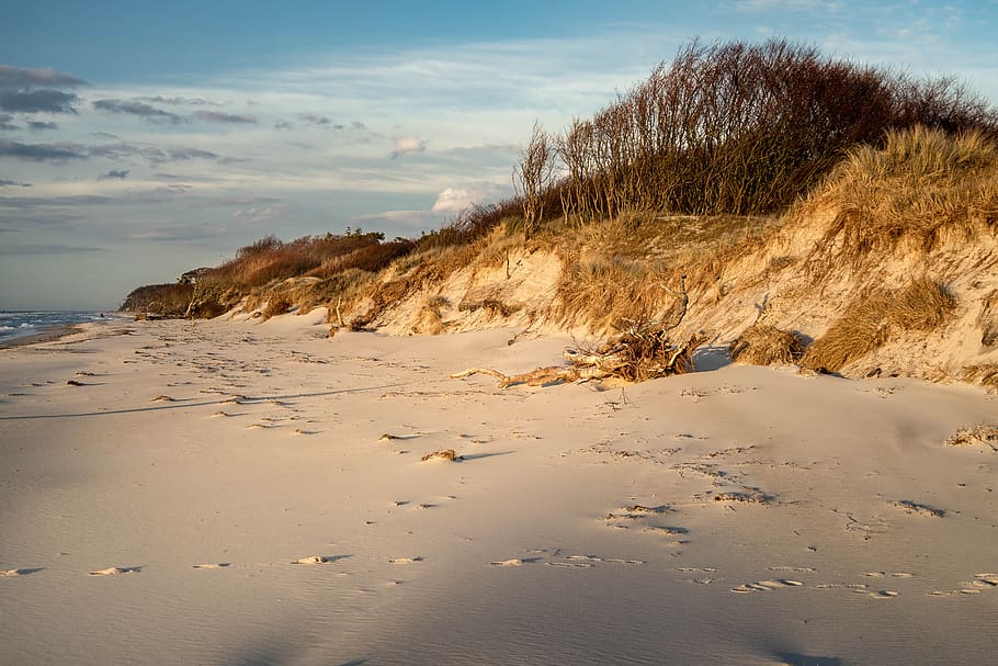 west beach, baltic sea, clouds, ahrenshoop, forest, dunes, darß, HD wallpaper