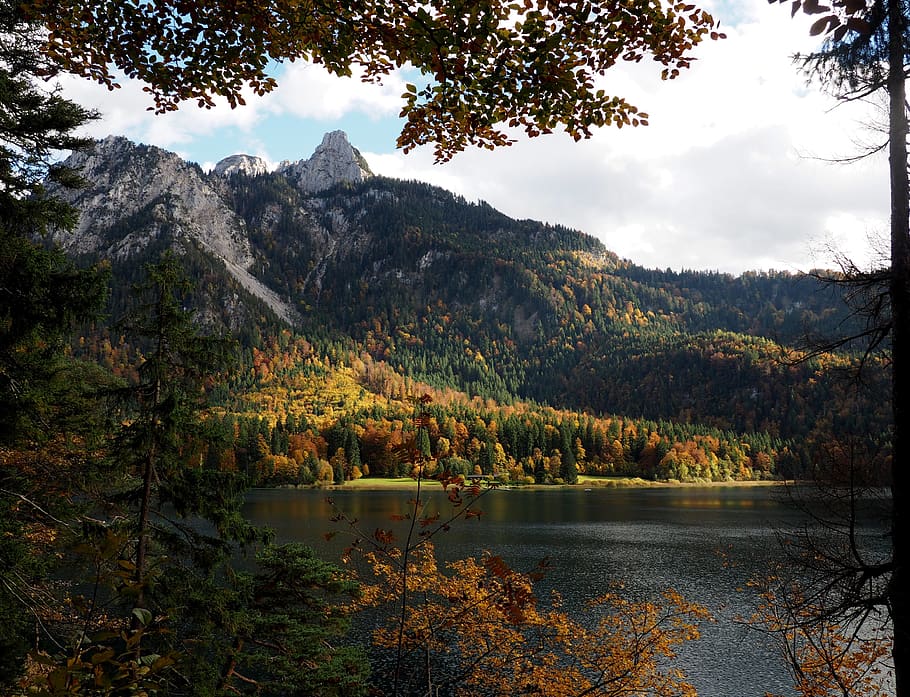 mountain, lake, mountains, forest, fall, colors, quiet, calm HD wallpaper
