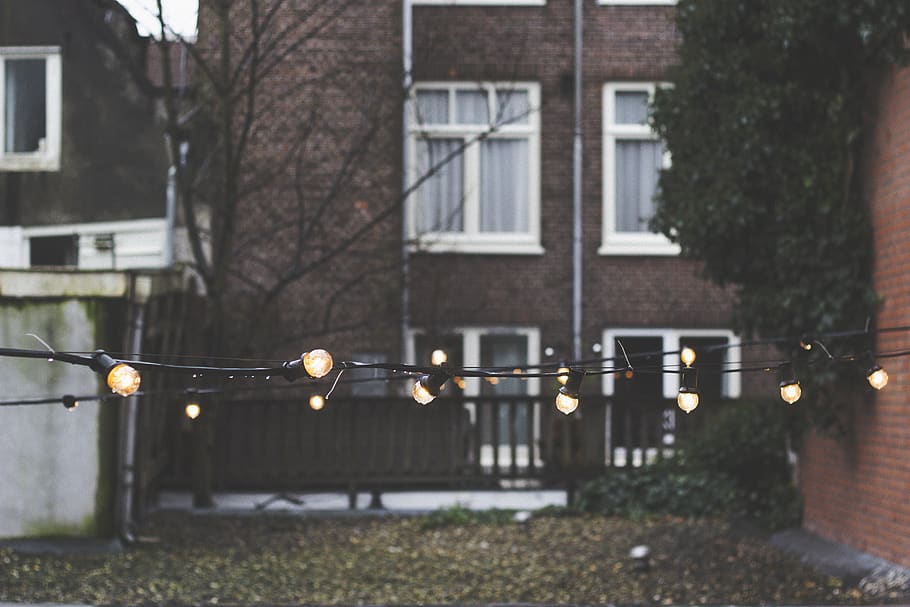 lighted bulbs at daytime, architecture, building exterior, built structure HD wallpaper