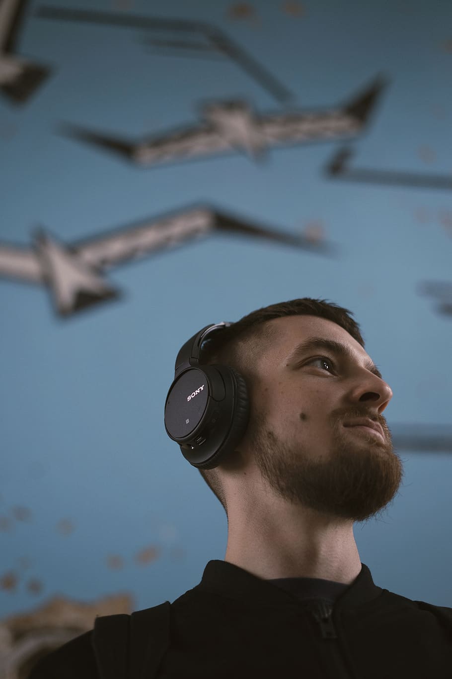 human, person, headphones, electronics, bird, animal, headset, HD wallpaper