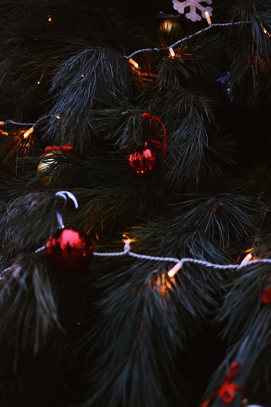 green Christmas tree with white string lights, no people, close-up HD wallpaper