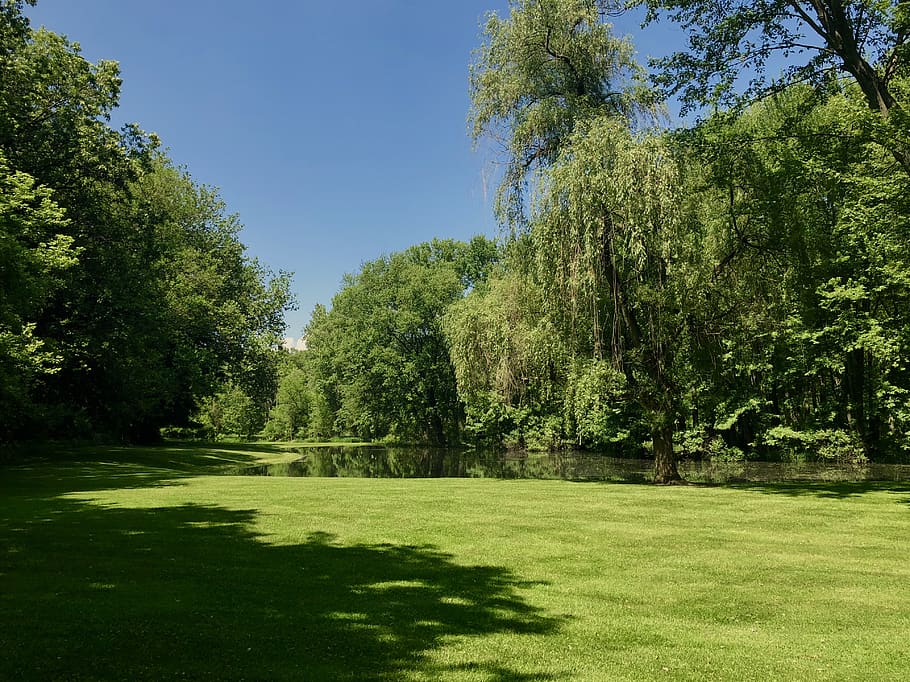 summer, spring, nature, green, blue, clouds, sky, blue sky HD wallpaper