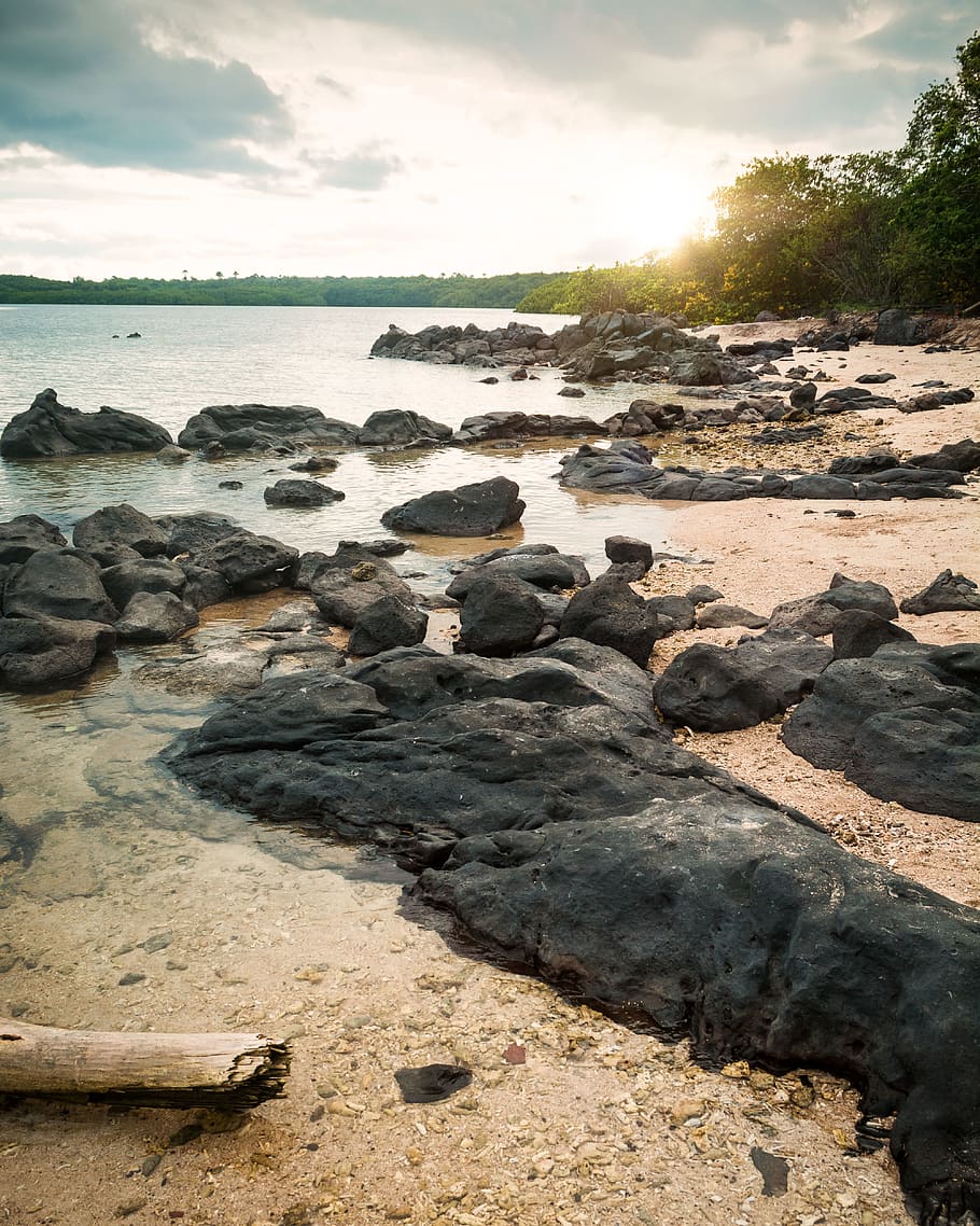 Black Rocks on Shore, beach, daylight, landscape, nature, ocean HD wallpaper