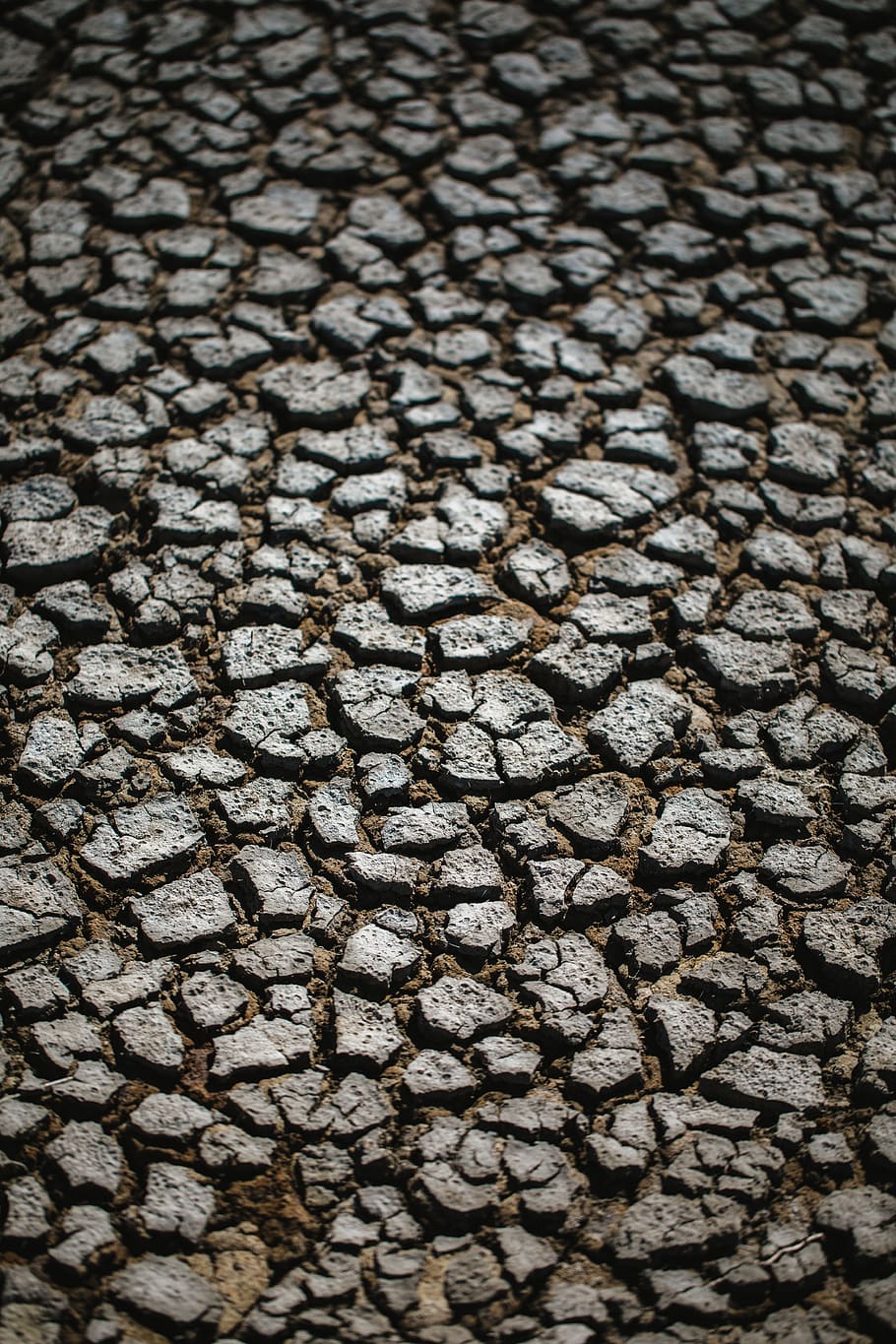 gray dried soil, backgrounds, full frame, pattern, textured, no people HD wallpaper