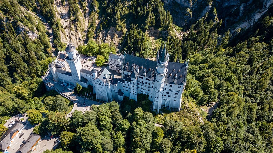 neuschwanstein, castle, drone, tree, plant, architecture, built structure HD wallpaper
