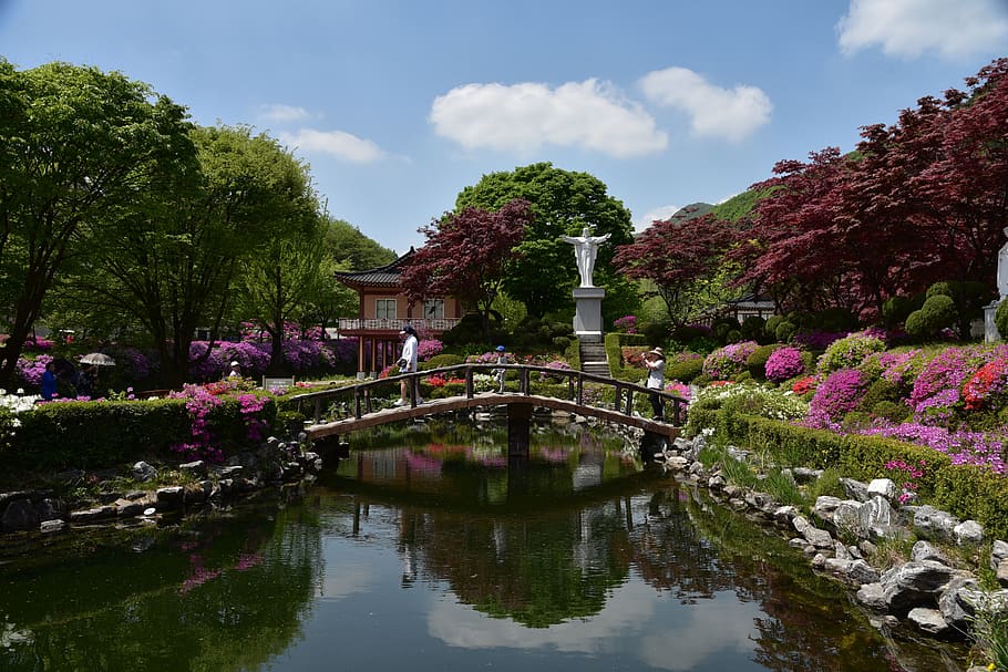 roman catholic, sky clouds, spring, water, plant, reflection HD wallpaper
