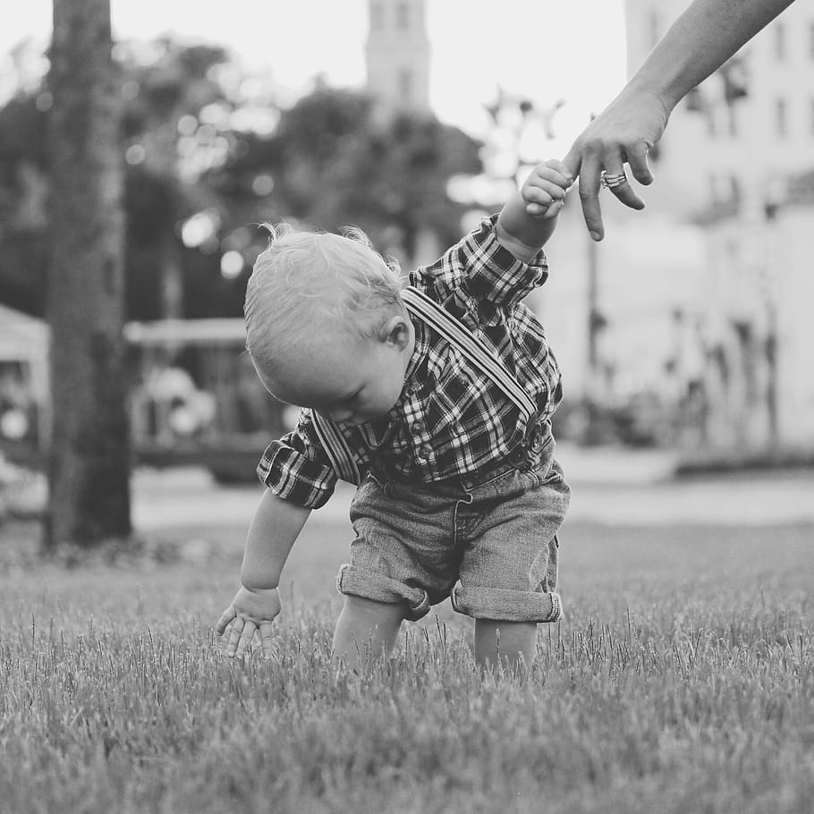 baby, boy, real people, child, men, childhood, plant, focus on foreground HD wallpaper