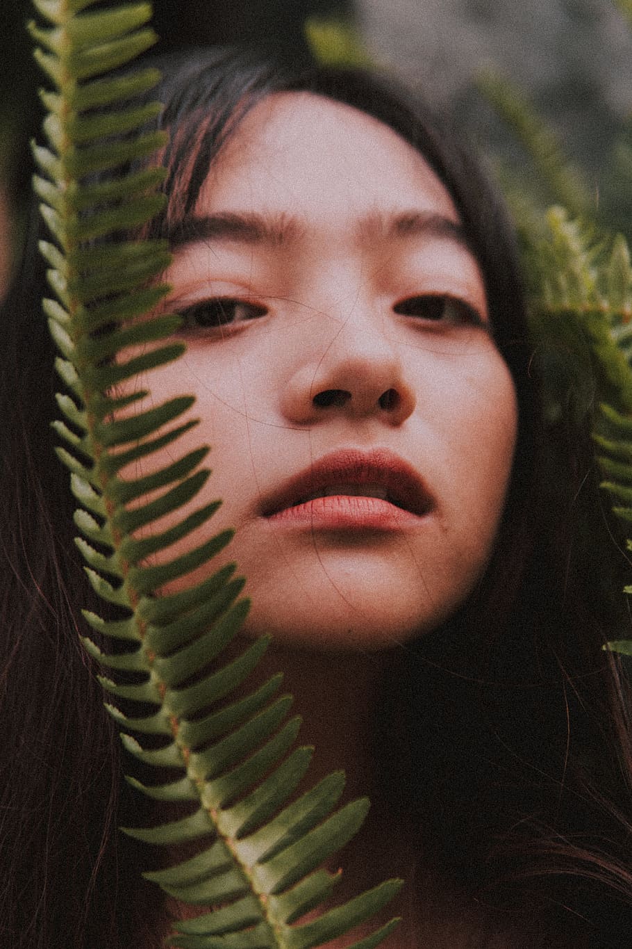 woman's face, eye, one person, headshot, portrait, plant, close-up HD wallpaper