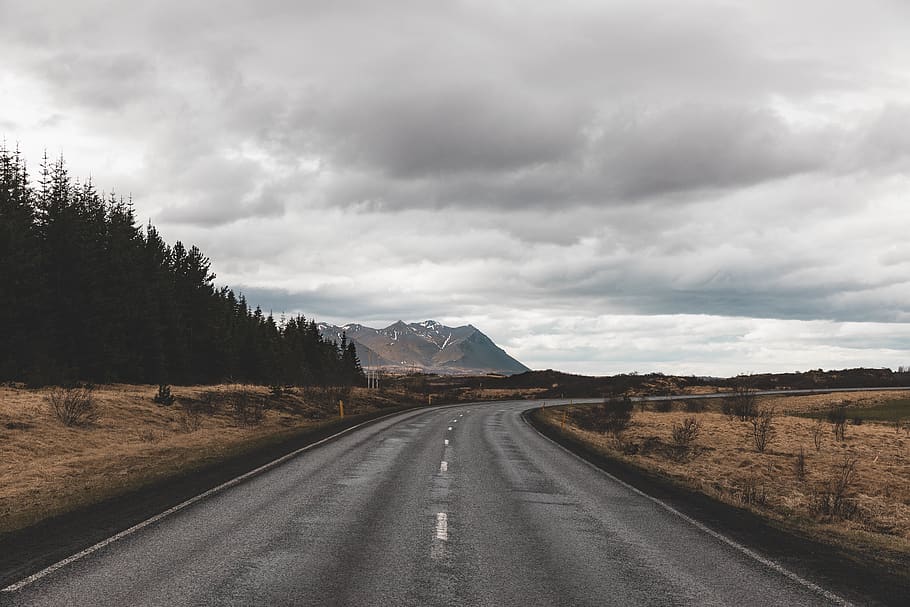 Road direction. Дорога направление. На дороге направляющие.