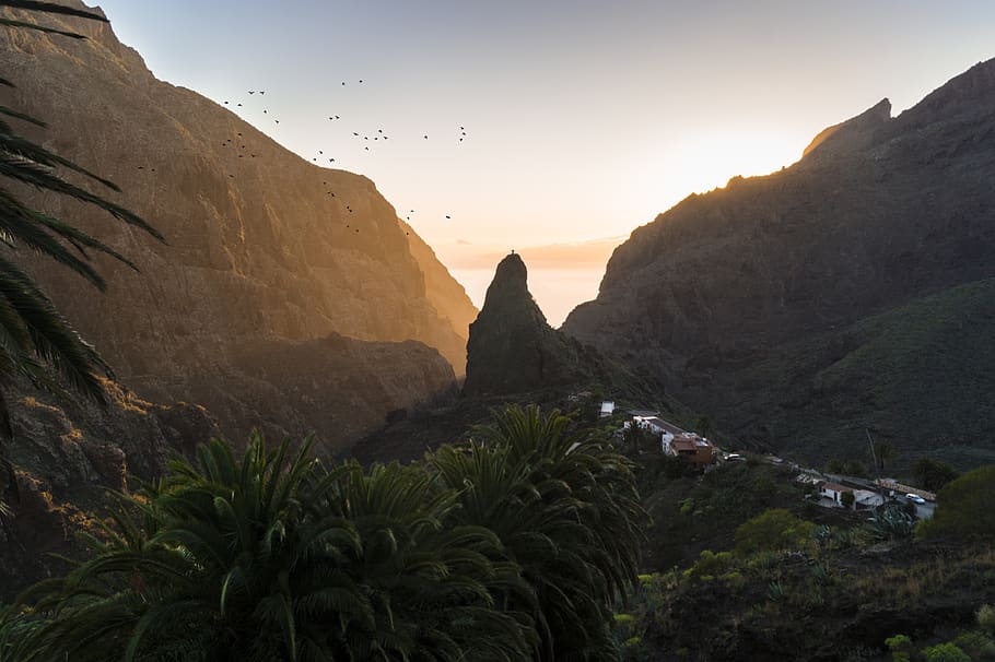 Luscious prose Thought HD wallpaper: masca, canary islands, spain, travel, sunset, tenerife, birds  | Wallpaper Flare
