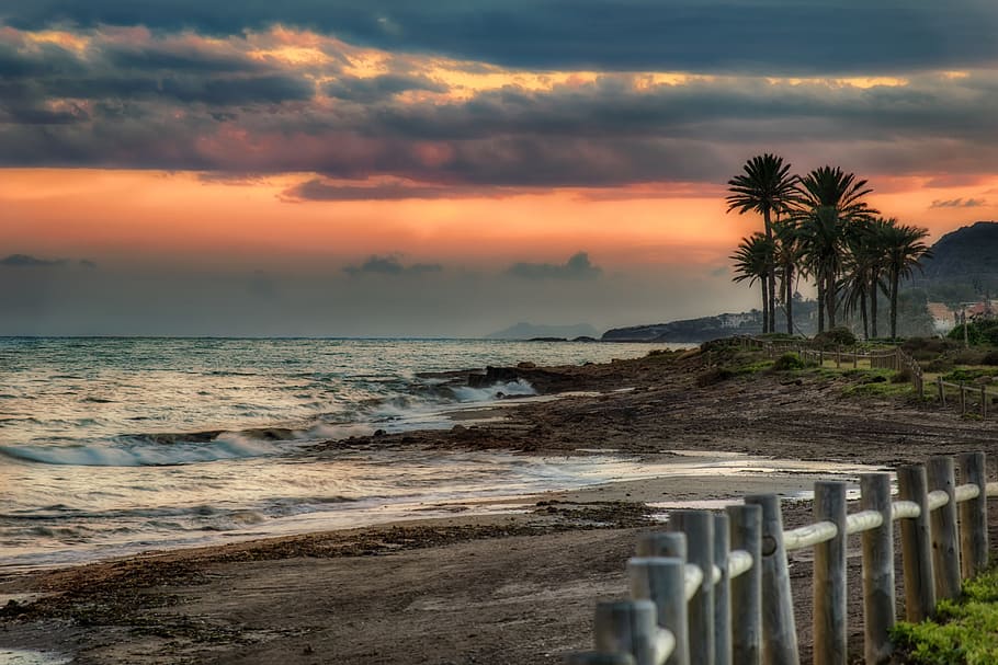 beach, sunset, palm tree, sky, landscape, cloud, sea, water HD wallpaper