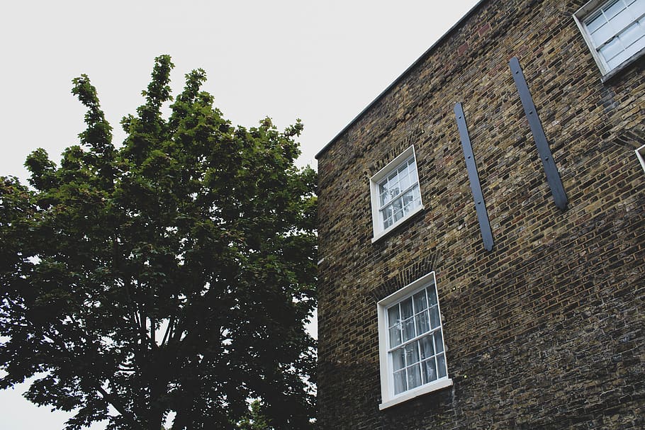 window, grey, sky, green, detail, london, building, tree, street HD wallpaper