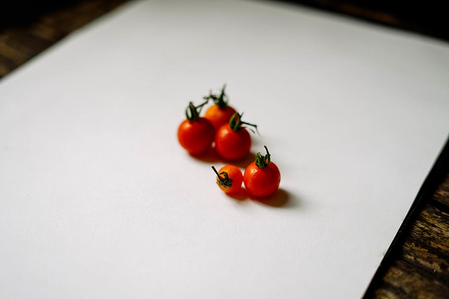 plant, tree, nature, tomato, food, photography, foodphotography HD wallpaper