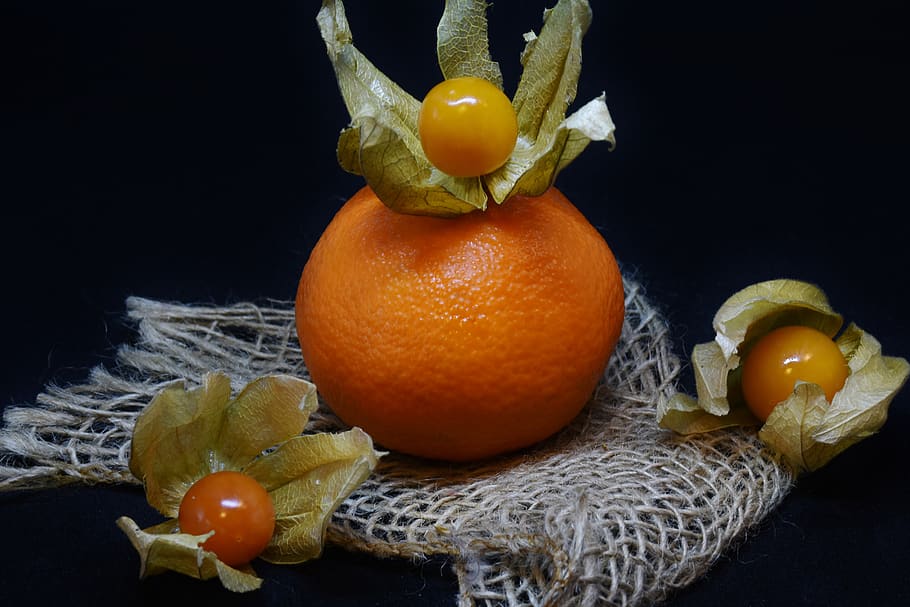 orange, physalis, fruit, berry, food, healthy, vitamins, decoration HD wallpaper