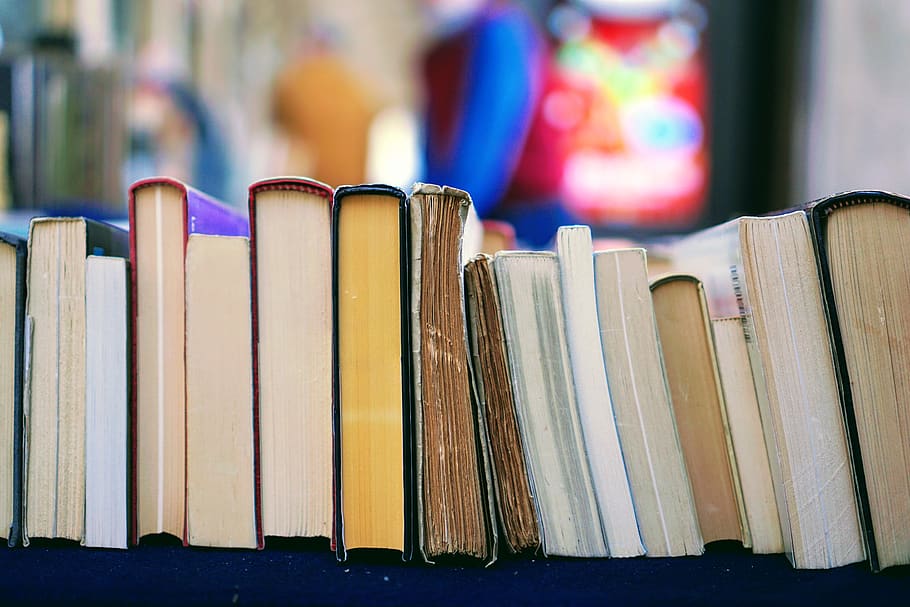 books, knowledge, education, office, school, library, read HD wallpaper