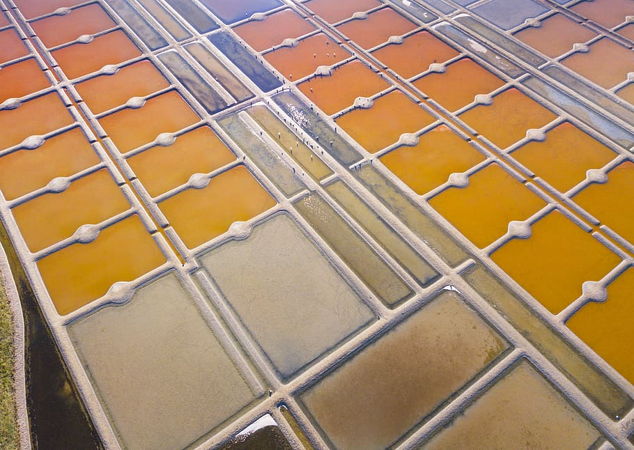 orange and grey roof, unnamed road, france, guérande, plot, tile HD wallpaper