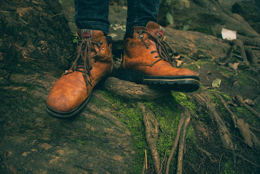 Tree work clearance boots