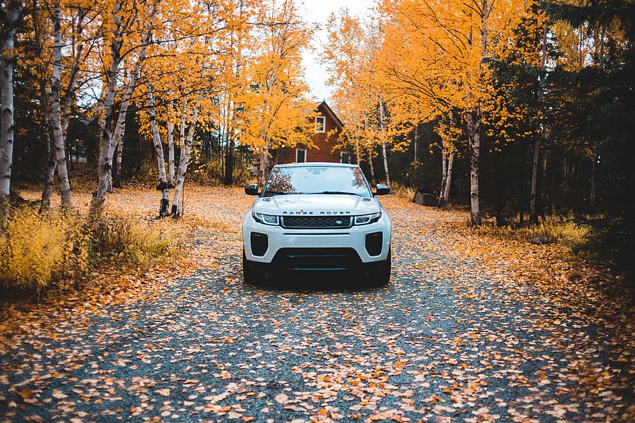 white Land Rover, dirt road, gravel, canada, badger, transportation HD wallpaper