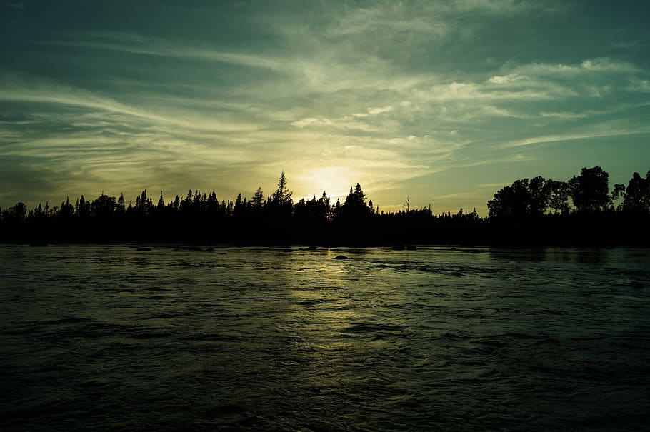 trees, river, forest, water, sky, scenics - nature, beauty in nature HD wallpaper