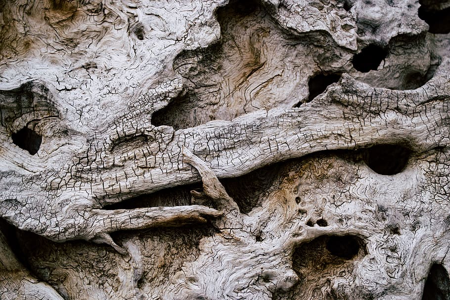 Weathered Wood, texture, no people, tree trunk, textured, full frame HD wallpaper